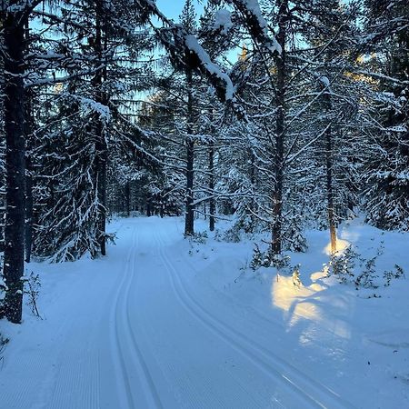 Bjorgebu Camping As Mysusæter المظهر الخارجي الصورة